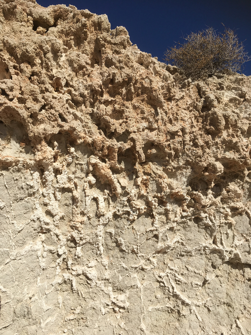 Gypcrete formation White Cliff Hill • Flinders Ranges Field Naturalists