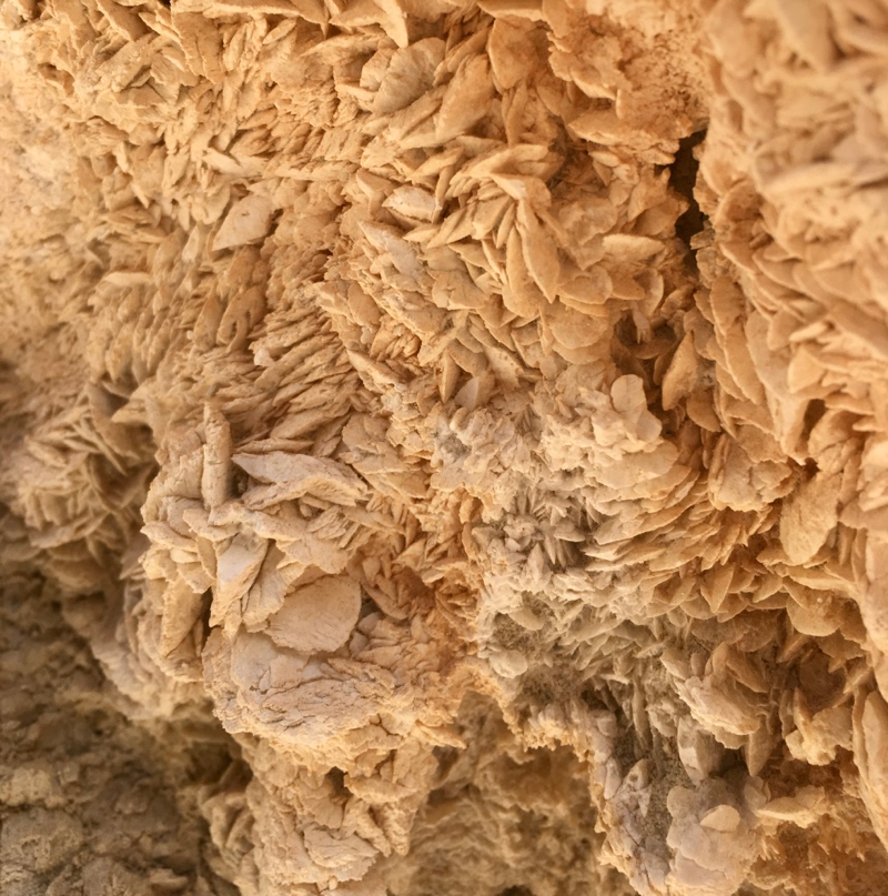 Gypcrete formation White Cliff Hill • Flinders Ranges Field Naturalists