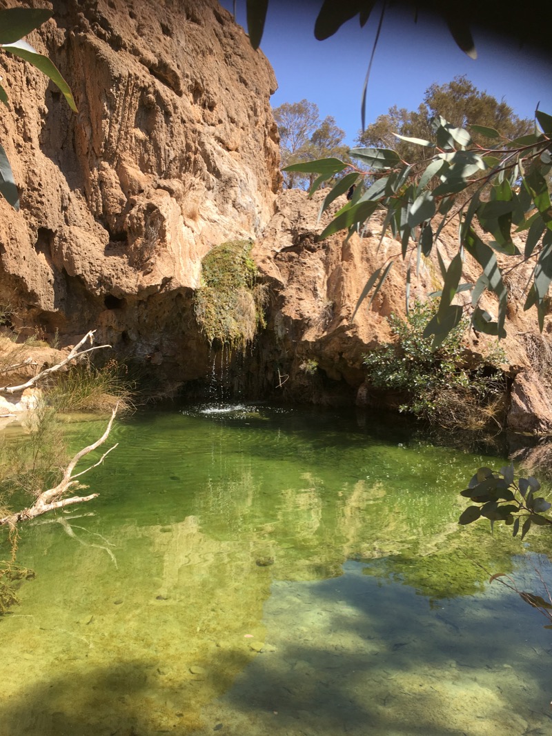 Moro • Flinders Ranges Field Naturalists