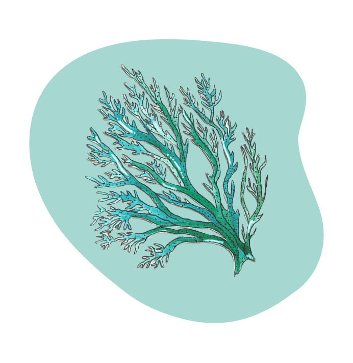 Support Us Flinders Fringe