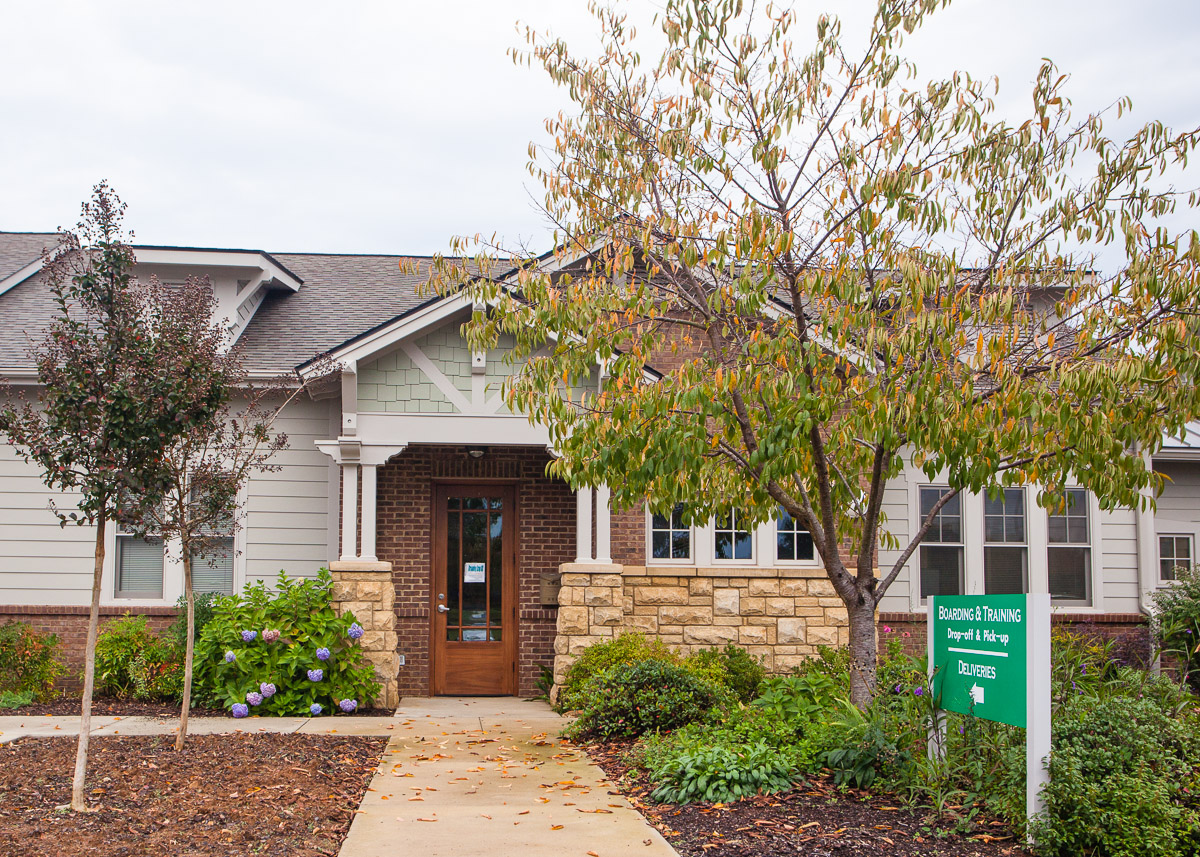 New Clients Flint River Animal Hospital