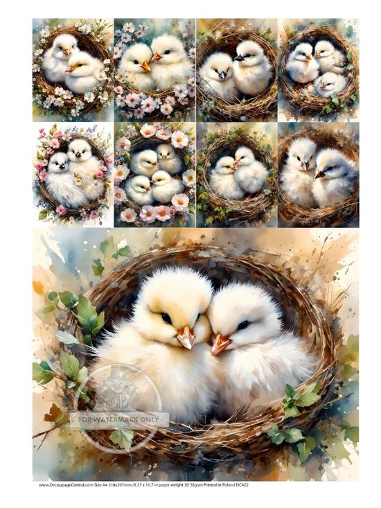 Cute & Cuddly Nest Multi Rice Paper Decoupage Central Flippin