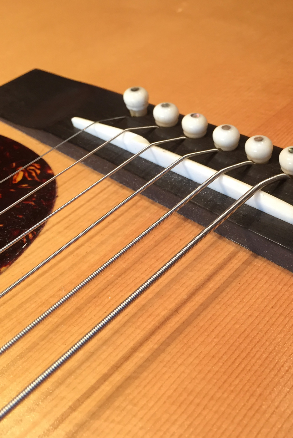 Flip Scipio Baritone