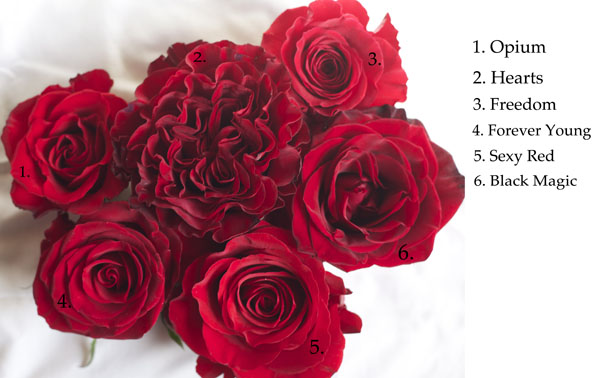 The Red Rose Study Flirty Fleurs The Florist Blog Inspiration for
