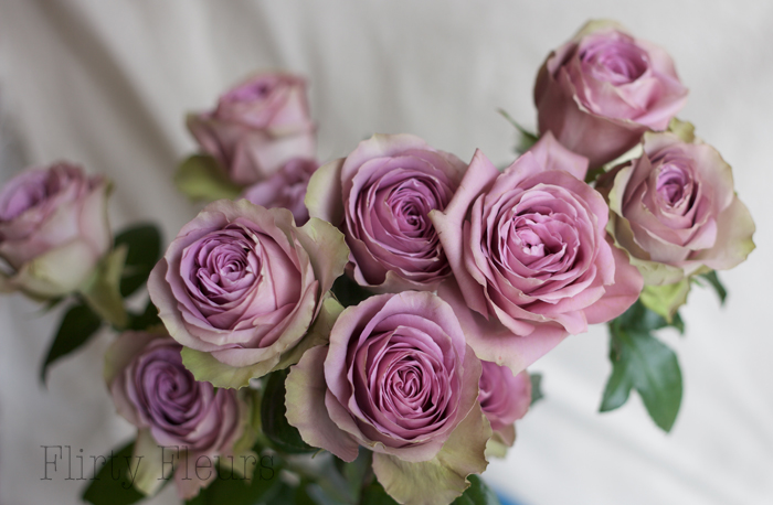 Alexandra Garden Roses Flirty Fleurs The Florist Blog Inspiration