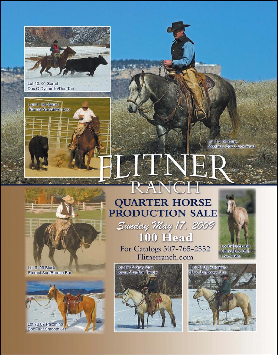 Flitner Quarter Horse Sale Flyer