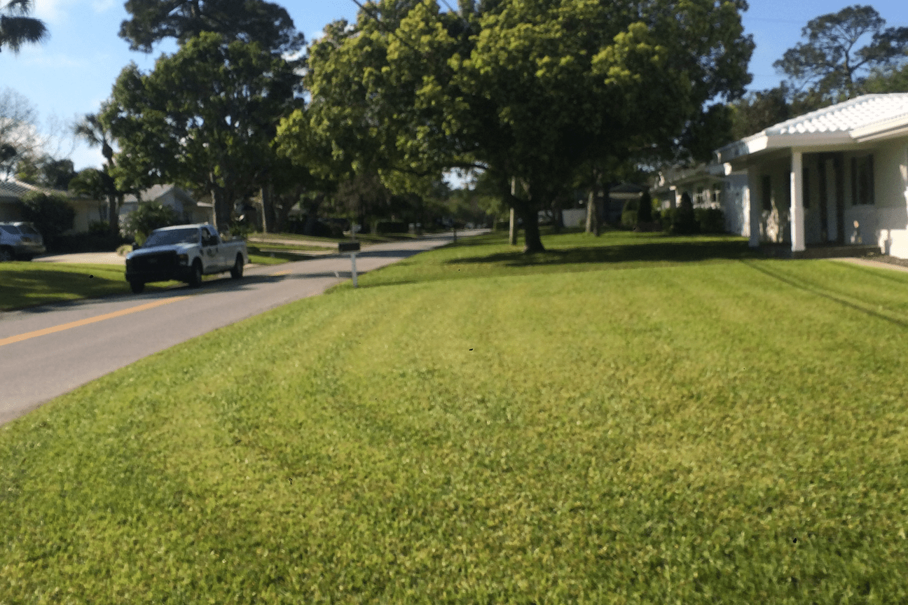 FL Left Coast Lawn and Landscaping Pinellas St Pete Florida FL LEFTCOAST LAWN AND LANDSCAPING