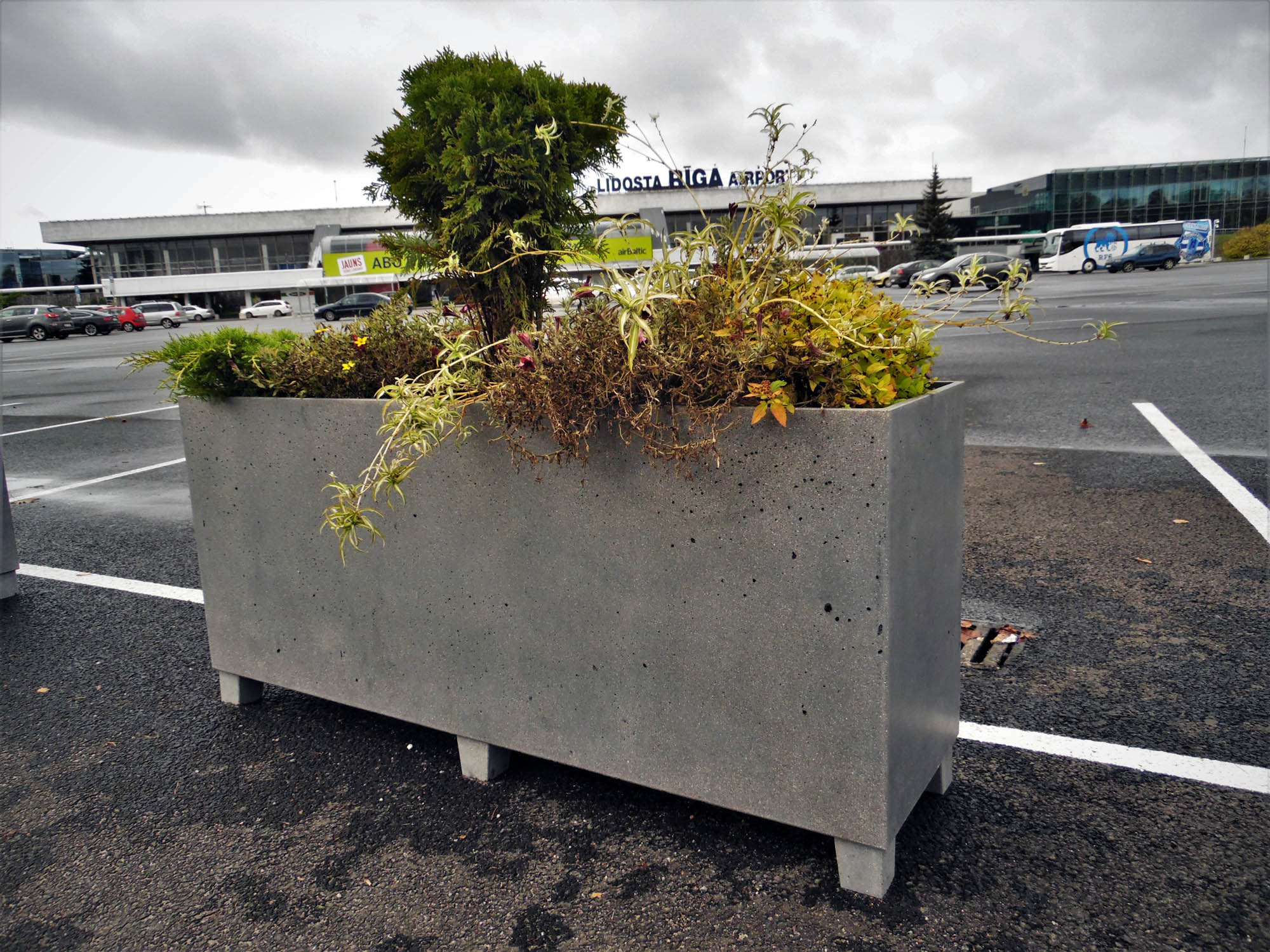 Flower pots at Riga International Airport FLO