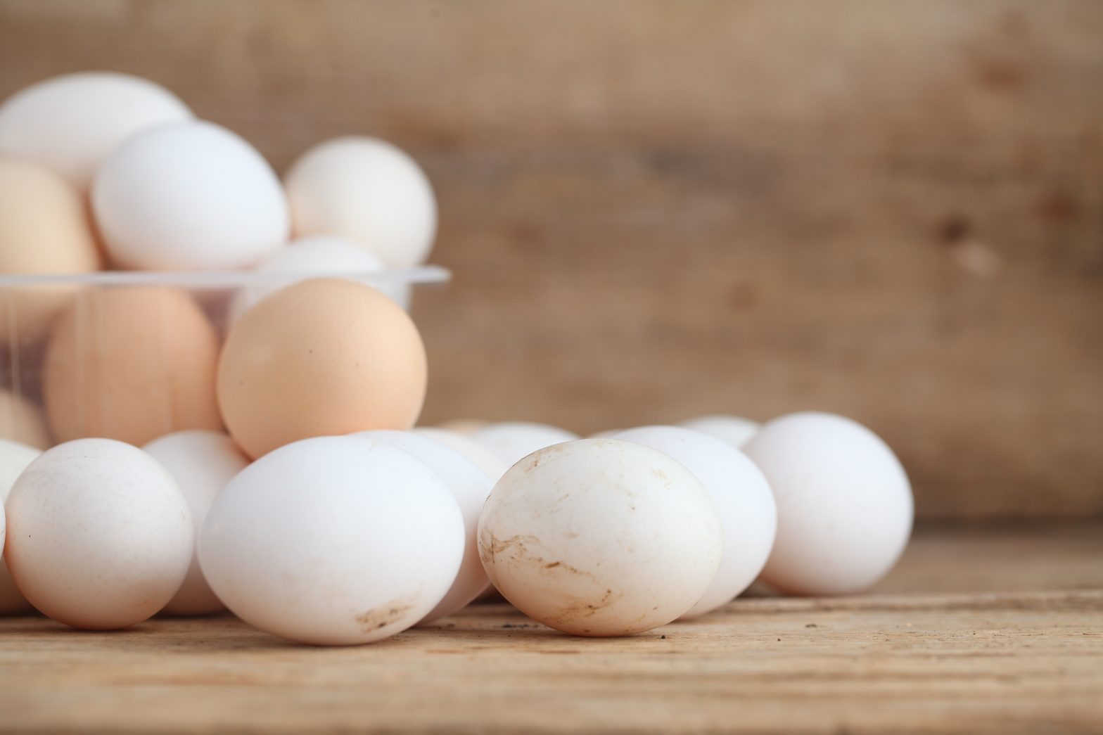 Dating and Refrigerating Eggs What You Need to Know Flockjourney