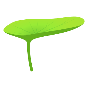 緑の植物の蓮の葉の線の質感イラスト画像とPsd素材の無料ダウンロード - Pngtree 蓮の葉のイラスト4 | 花、植物イラスト Flode Illustration （フロデイラスト）