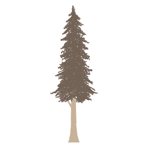 無料イラスト 杉の木とスギ花粉 杉17 | 花、植物イラスト Flode Illustration （フロデイラスト）