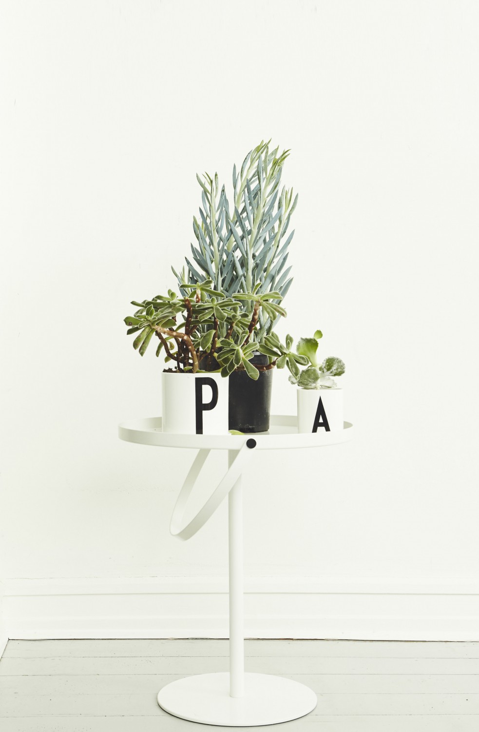 Design Letters Cup Up Studio Flodeau