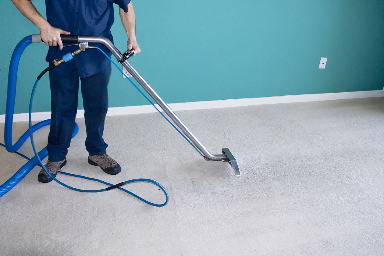 Professional Carpet Cleaning San Diego Affordable Carpet Cleaning