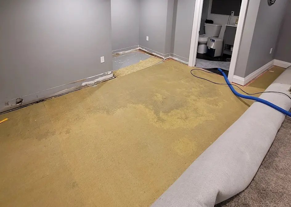 Wet Carpet Cleaning, Sanitizing, Drying or Removal Service