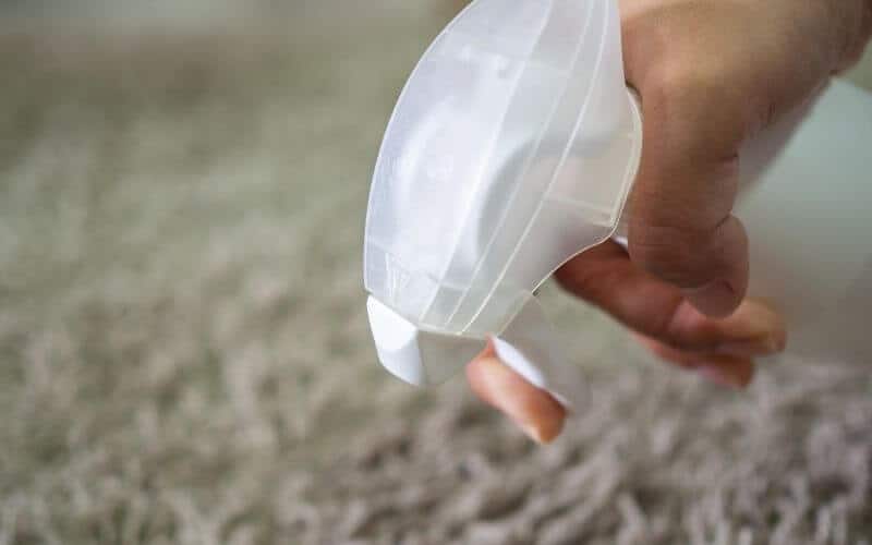 How to Remove Really Old Carpet Stains (8 Super Fast Methods)