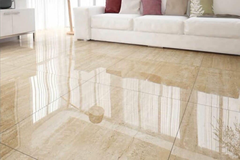 Best Flooring for Dogs & Cats 2024 Floor Critics Guide