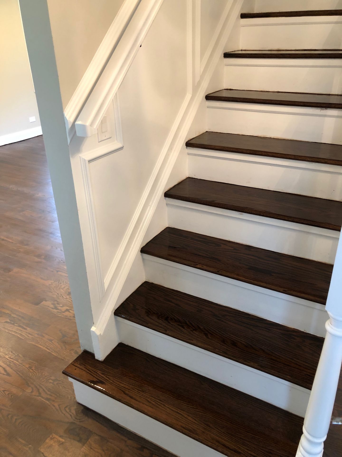 Espresso stain and Masterline polyurethane Chicago, FLOORecki LLC