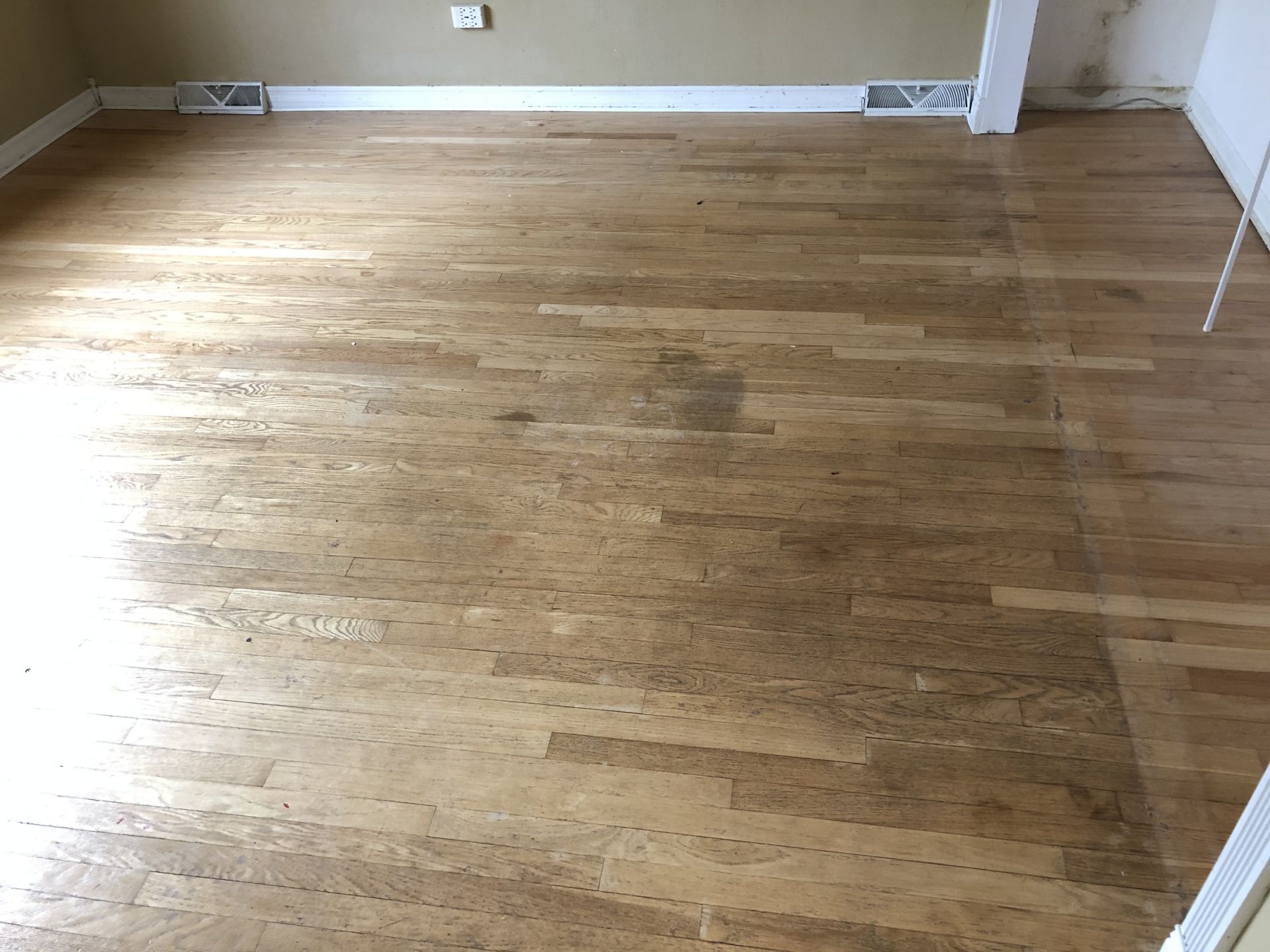 Classic Grey + Loba EZ Finish Chicago, FLOORecki LLC, Flooring