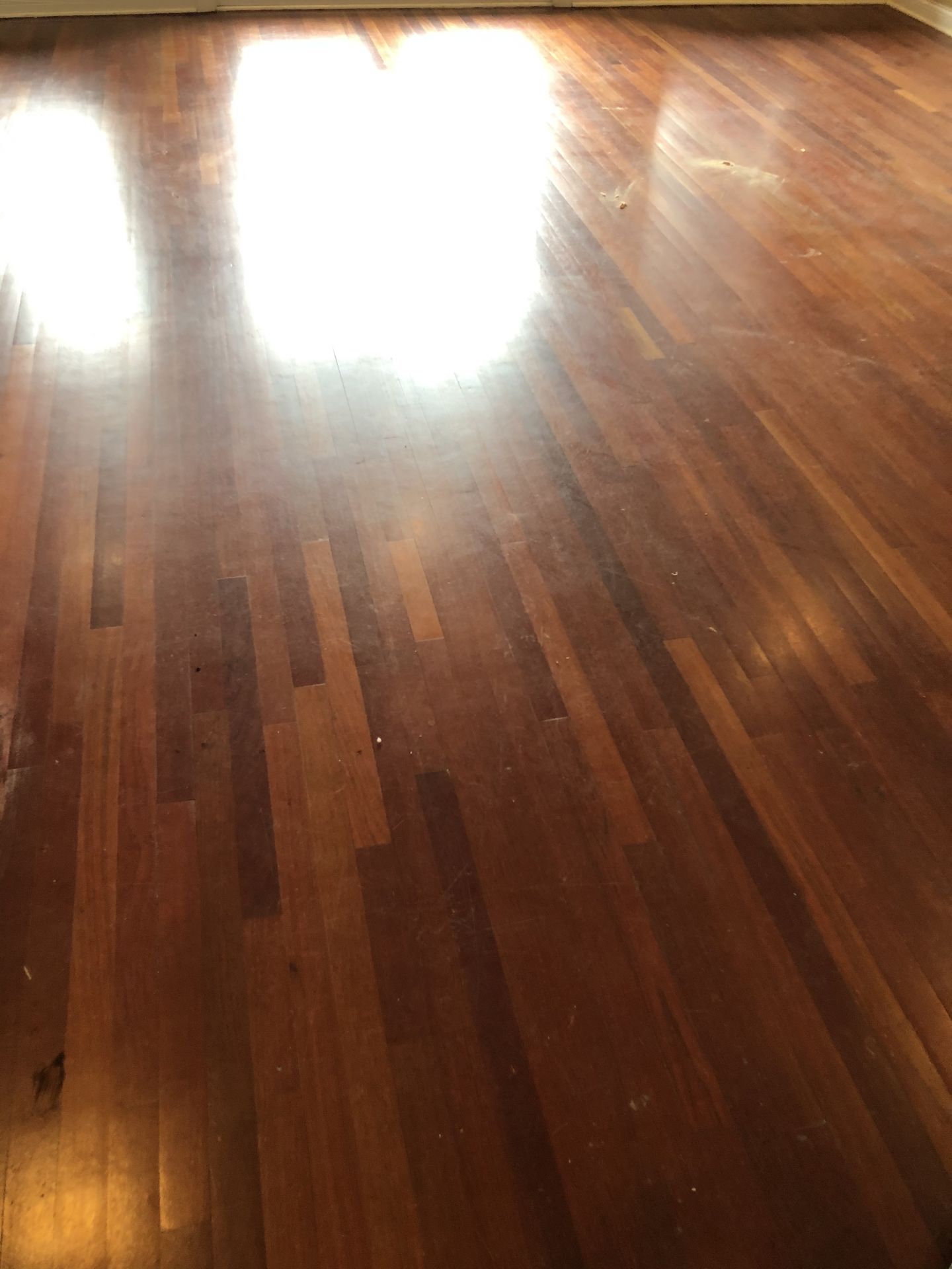 Staining Brazilian Cherry Floors Chicago, FLOORecki LLC, Flooring