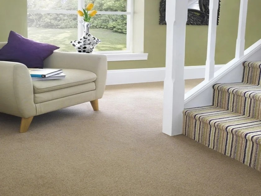 Plain Carpet Dubai Buy Luxurious Plain Wool Carpet in UAE