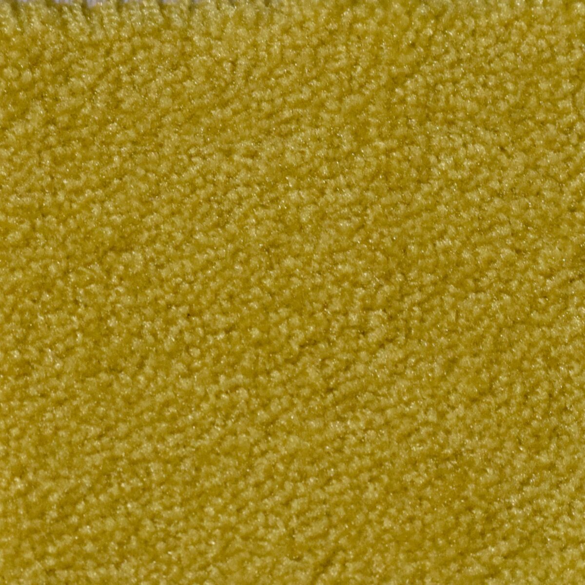 Superior Carpet Flooring Exhibits