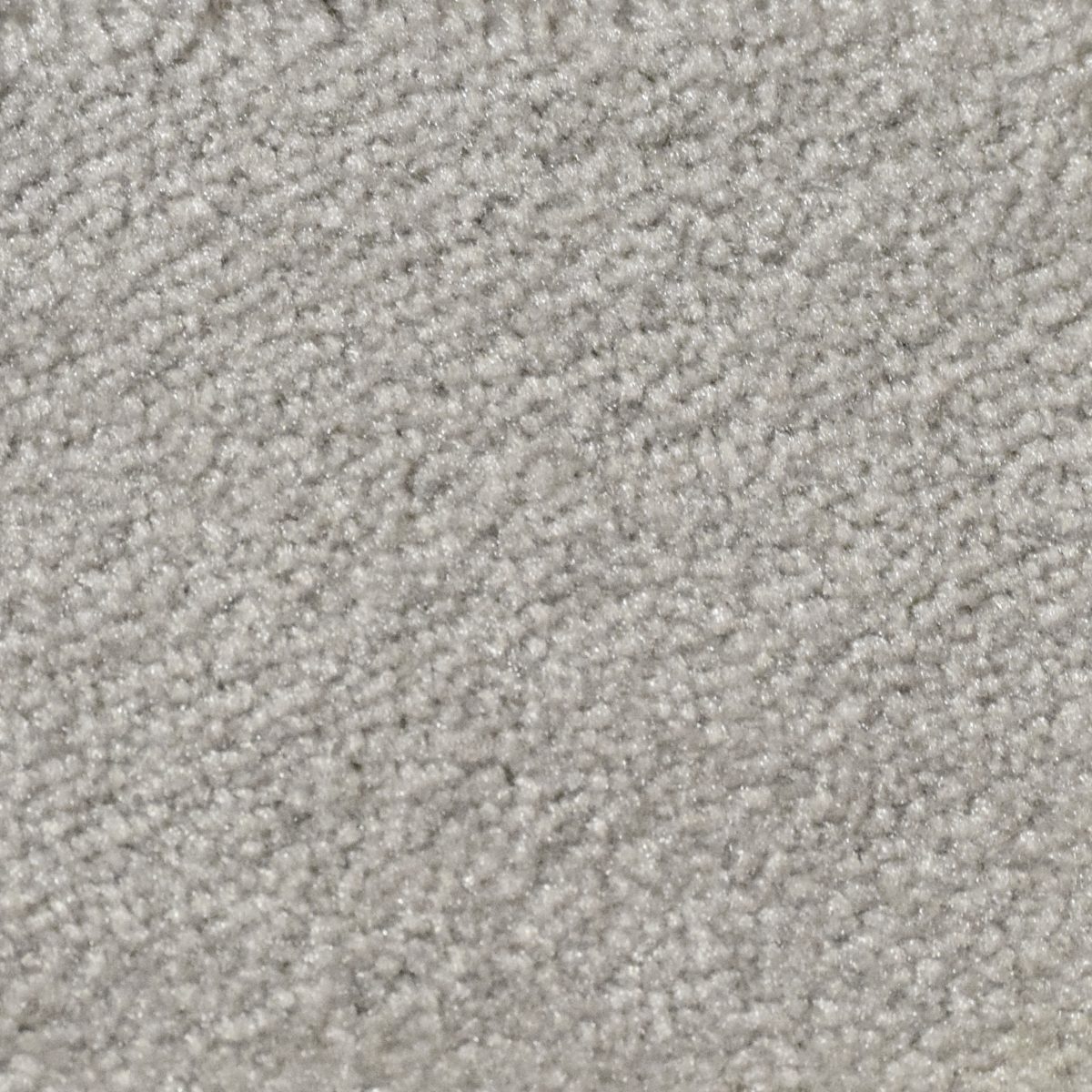 Superior Carpet Flooring Exhibits