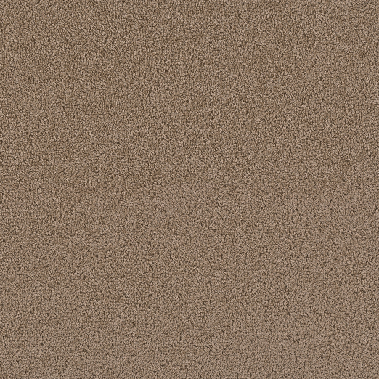 FLG 20oz Sable Flooring Liquidation GuysDiscount Flooring San Antonio TX