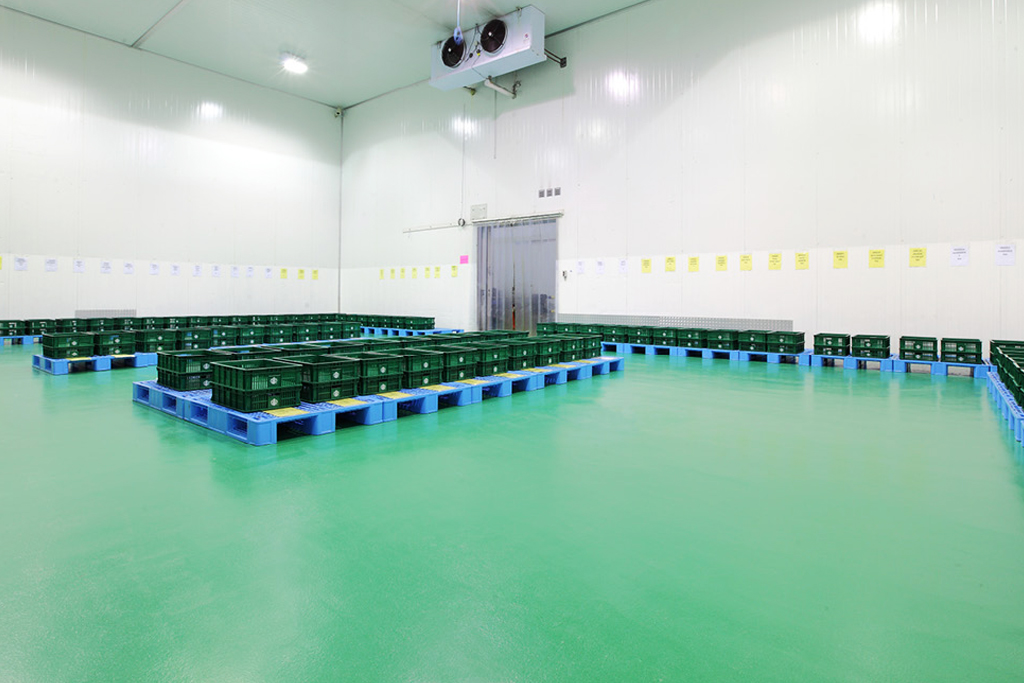 Polyurethane Flooring Philippines Flooring Solutions