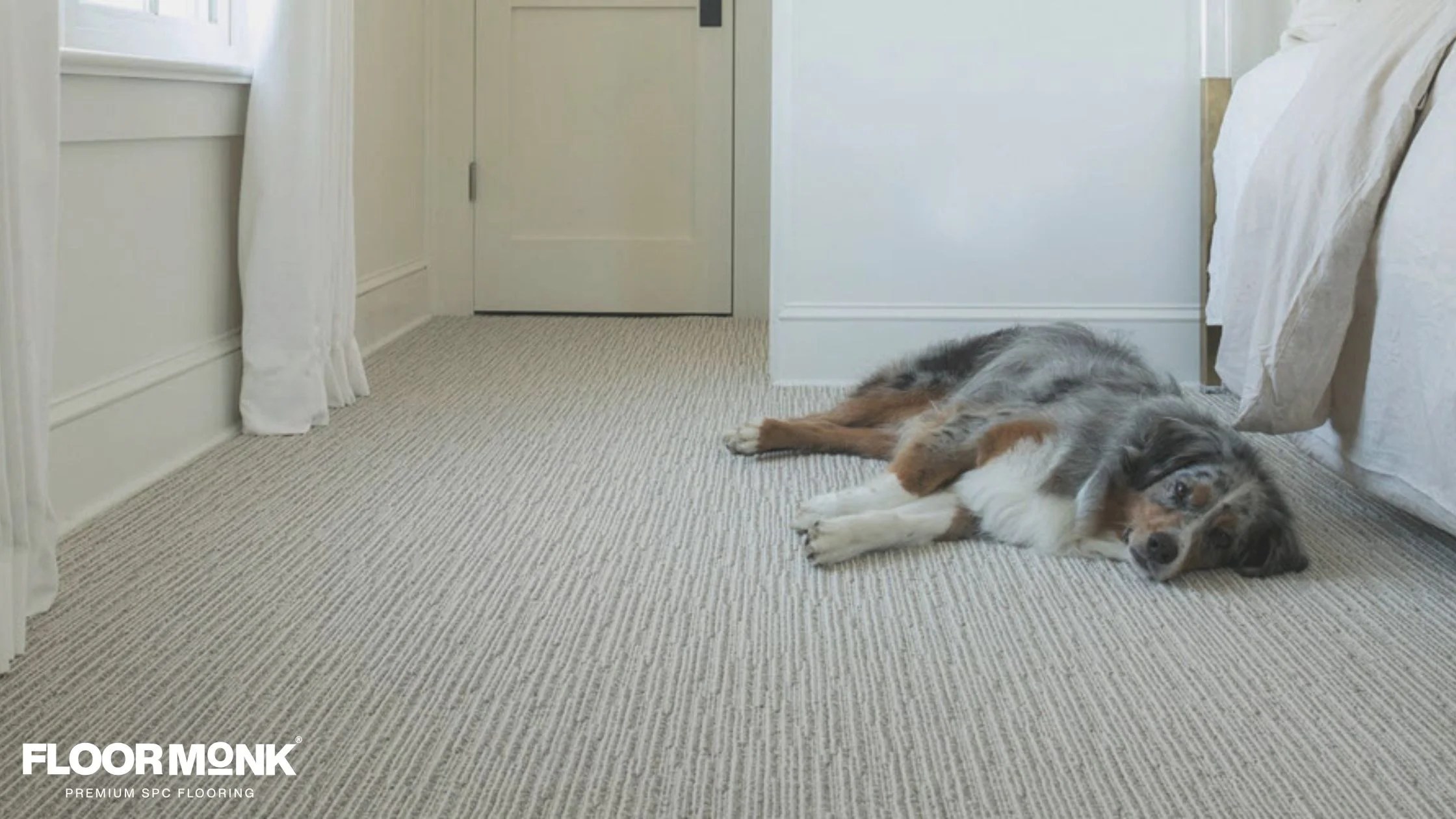 Carpet with Low Pile Flooring