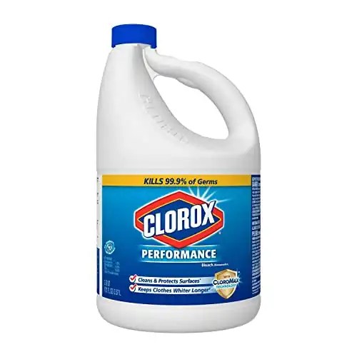Does Bleach Kill Mold on Concrete? Floor Techie