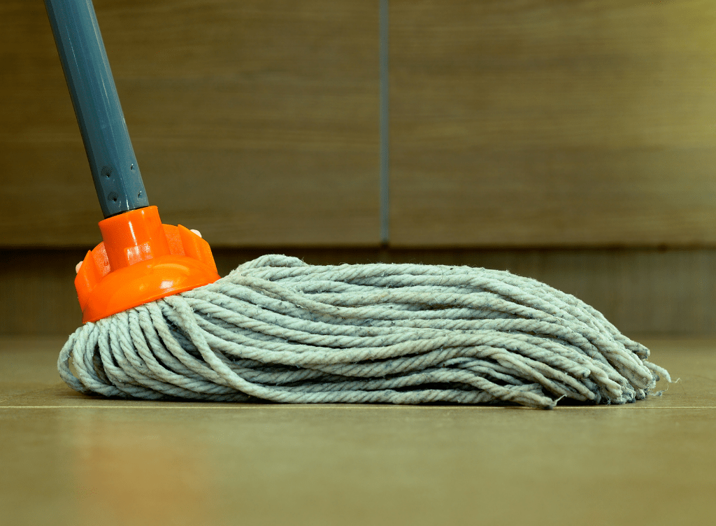 Ultimate Guide to Cleaning Vinyl Flooring [2021] FloorVenue