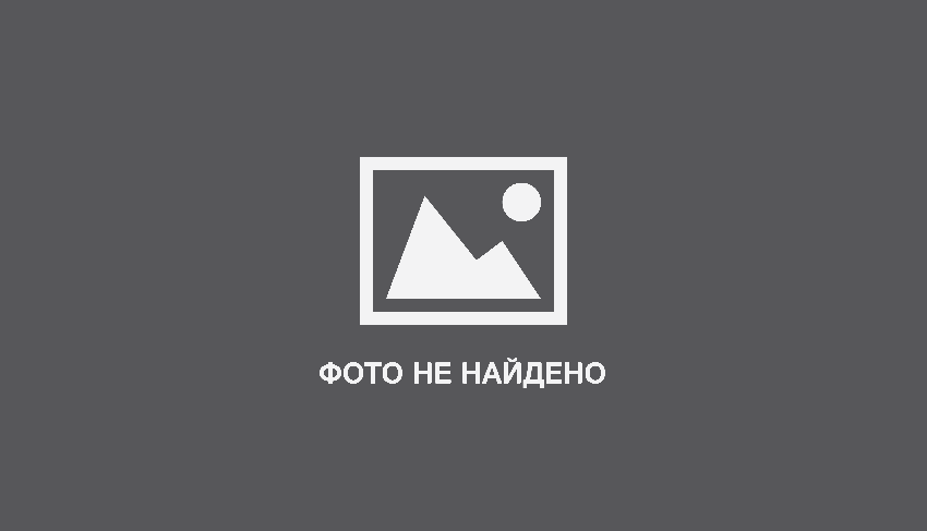 Комнатные Цветы Круглые Листья Фото