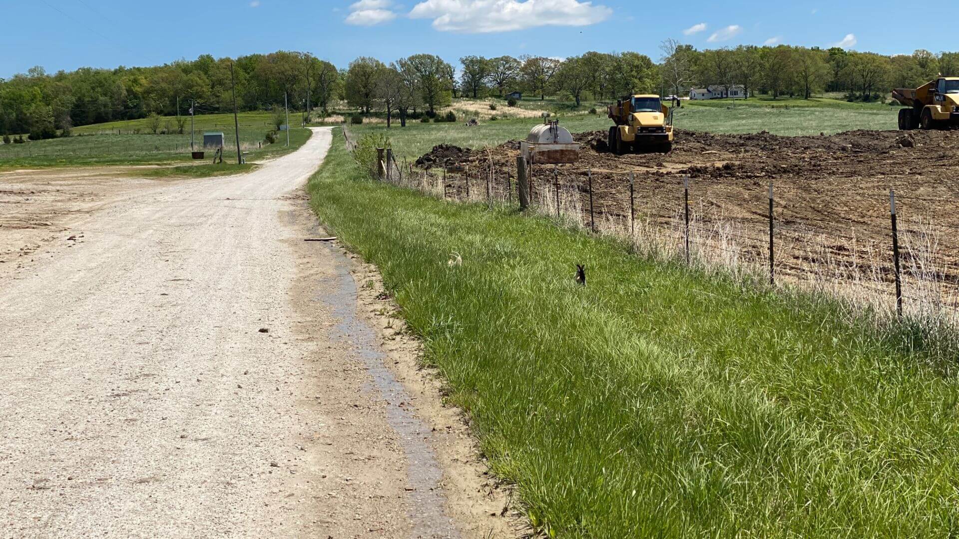 Watch Us Grow Humansville MO Flora Farms Best Missouri Marijuana