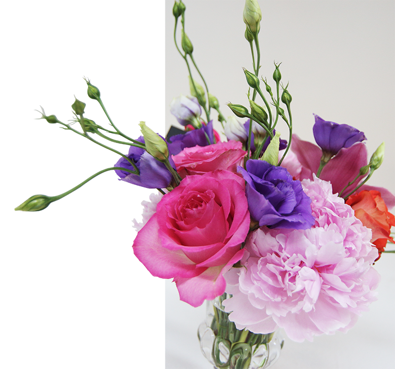 Flora Flowers Tampa Best Flower Site