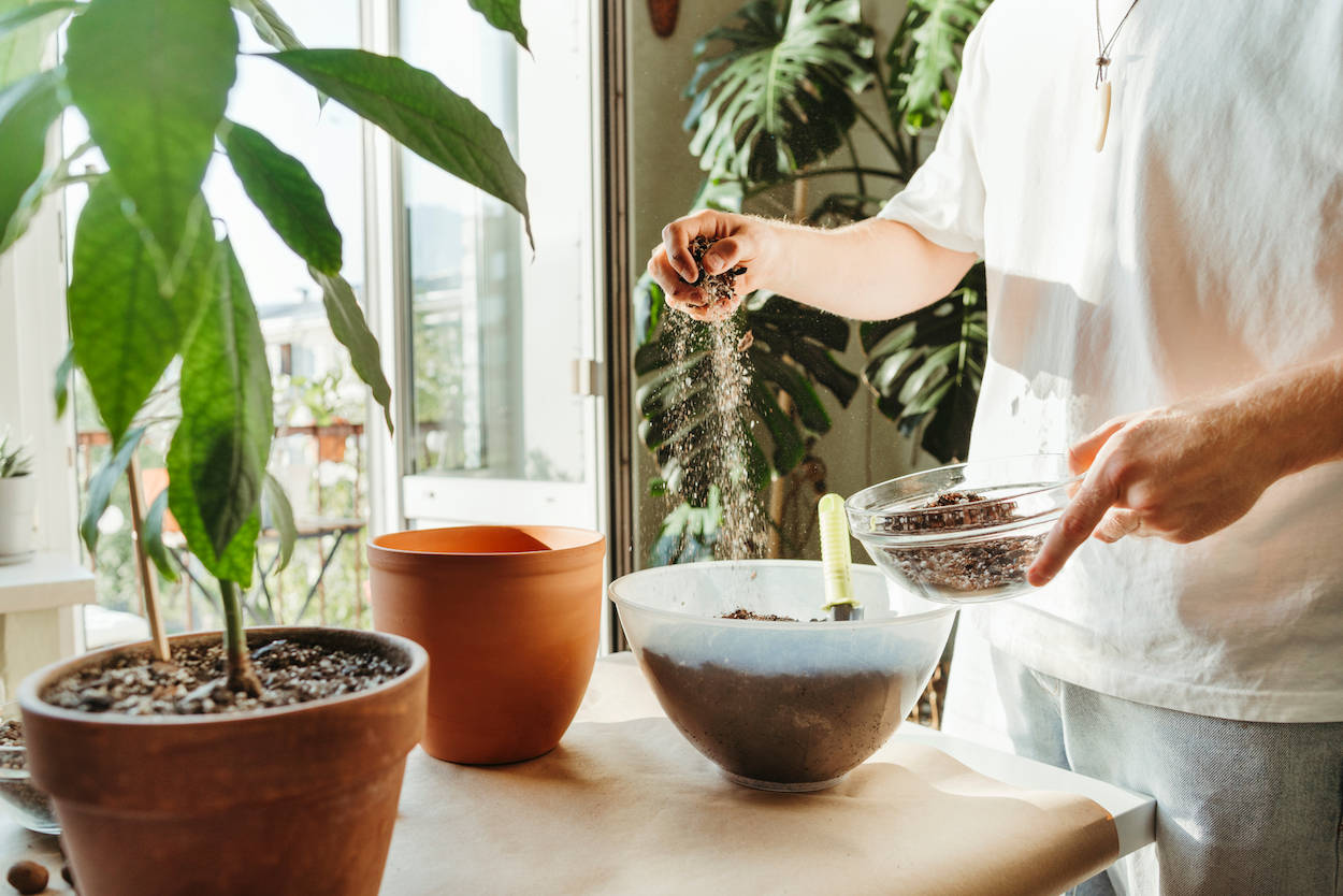 Flora Flats Boutique Capitol Hill Apartments