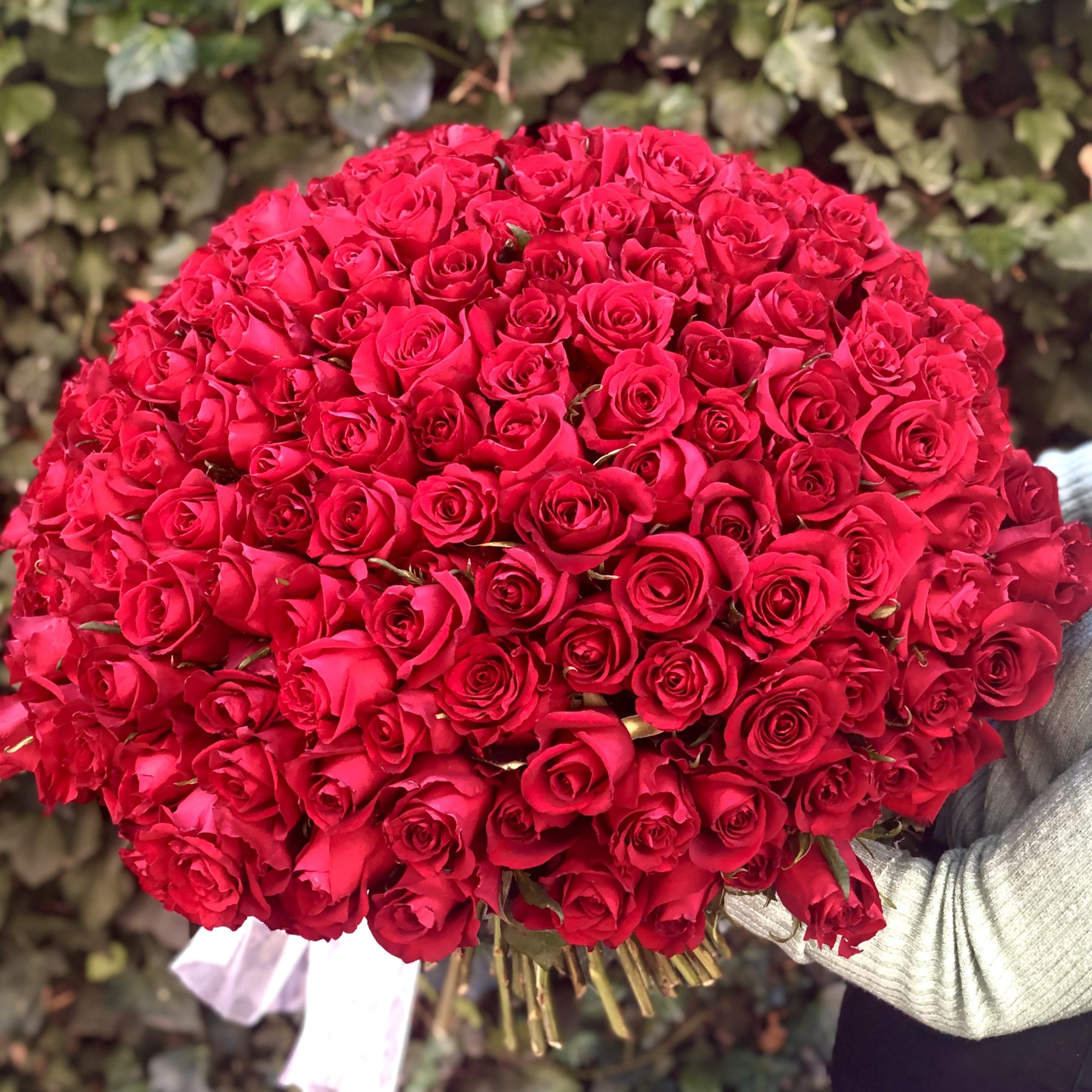 Two Hundred Roses! Floral Affairs 200 red roses giant rose bouquet