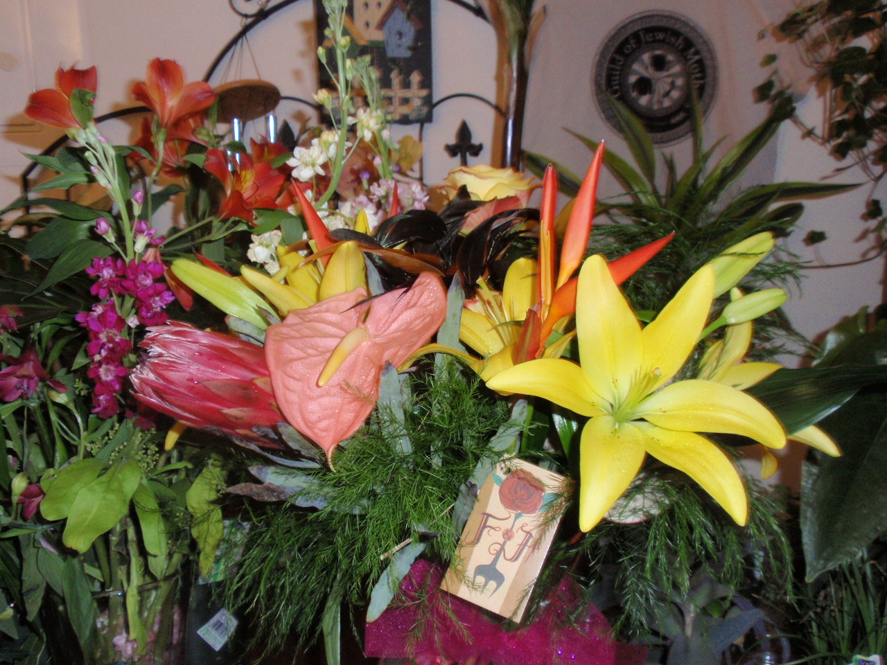 TRINIDAD/TOBAGO and AFRICA! Floral & Hardy Edible Plants