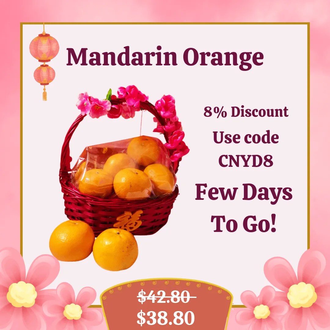 Mandarin Orange Hamper Basket (8 Oranges) FLORAL GARAGE SG