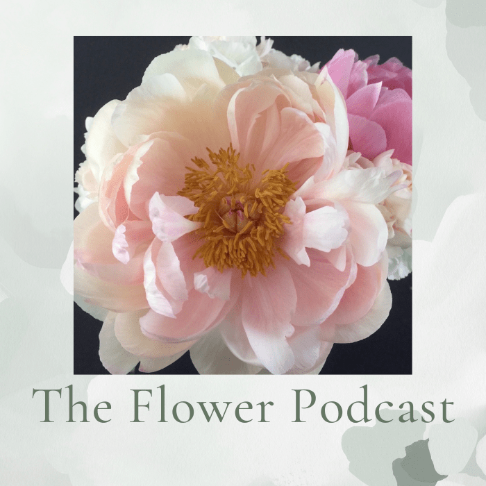 Top 5 Florist Podcasts for 2023 Floranext Florist sites, Floral
