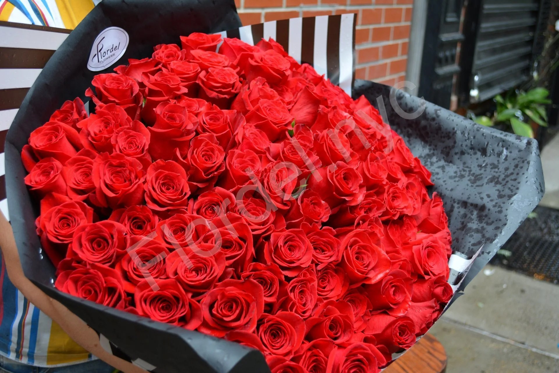 100 long stem red roses