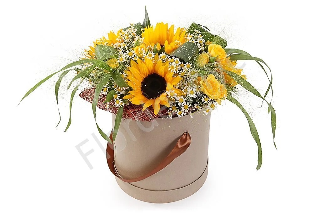 Sunflower box