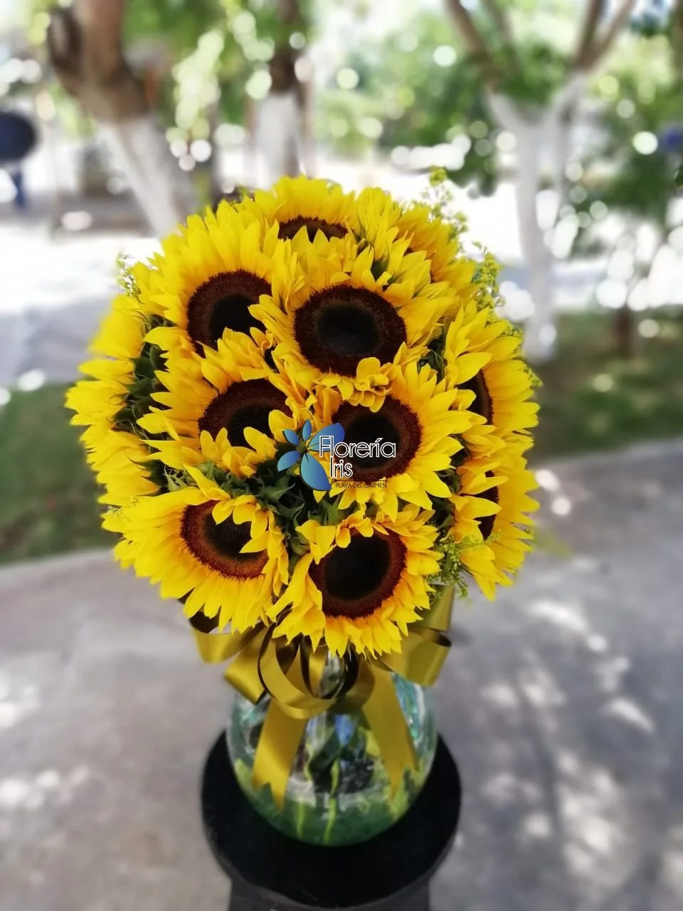 13 girasoles en florero Florería Iris