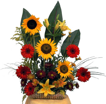 Florerias En Merida Yucatan Mexico Catalogo En Linea