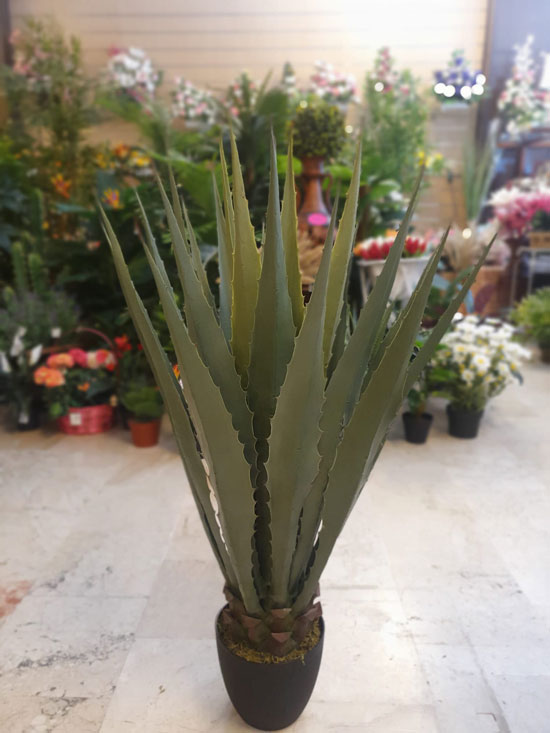 Venta de agave artificial en plástico Floristería Osuna