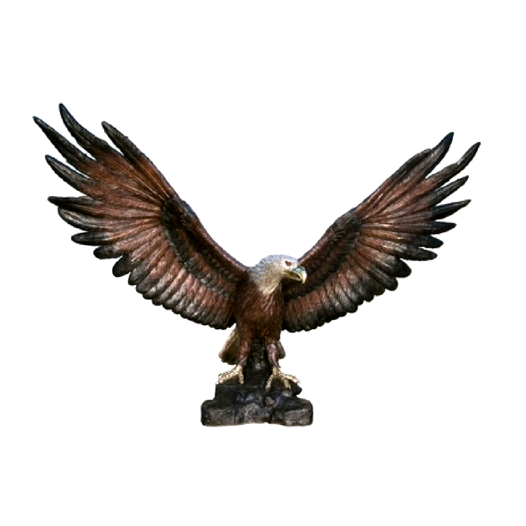 Bronze Large Eagle Sculpture Florida Bronze Statues, Sculptures and