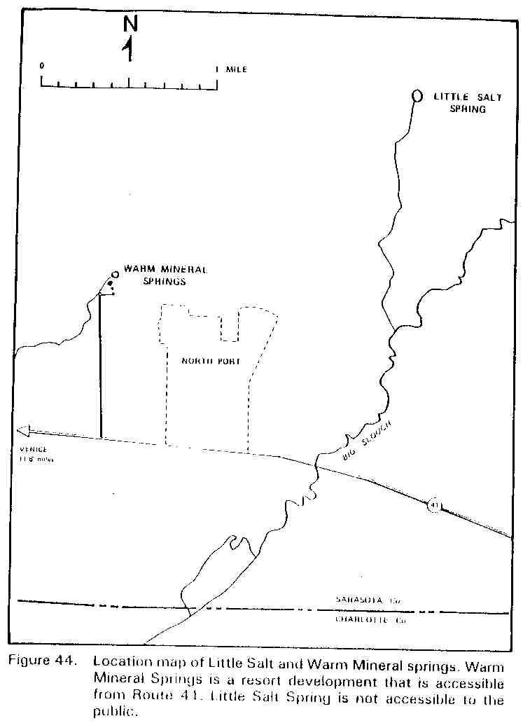 Warm Mineral Springs