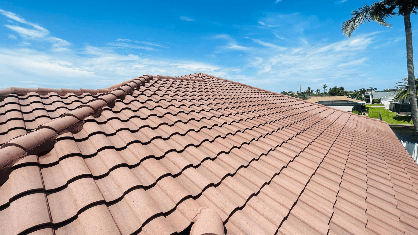 Roof Mildew Removal by Soft Washing The Clean Roof Experience