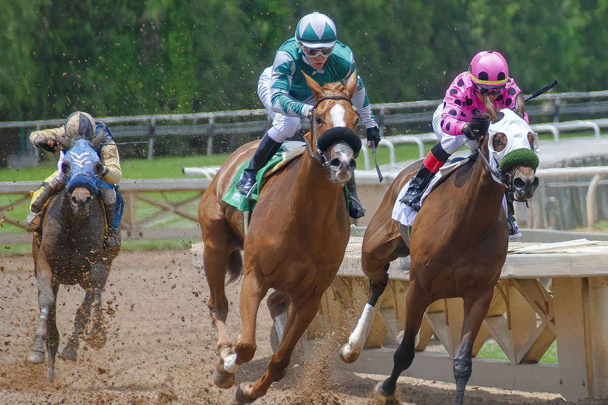 The Top 6 Horse Racing Myths Busted Florida Cracker Horse