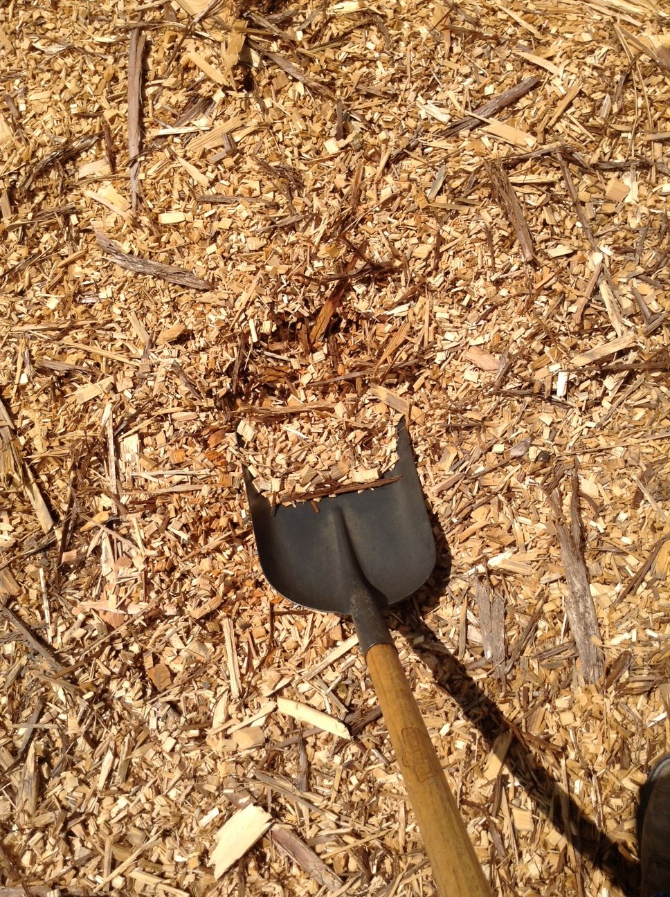 Cypress Mulch Chips Florida Cypress Wood Products, Inc