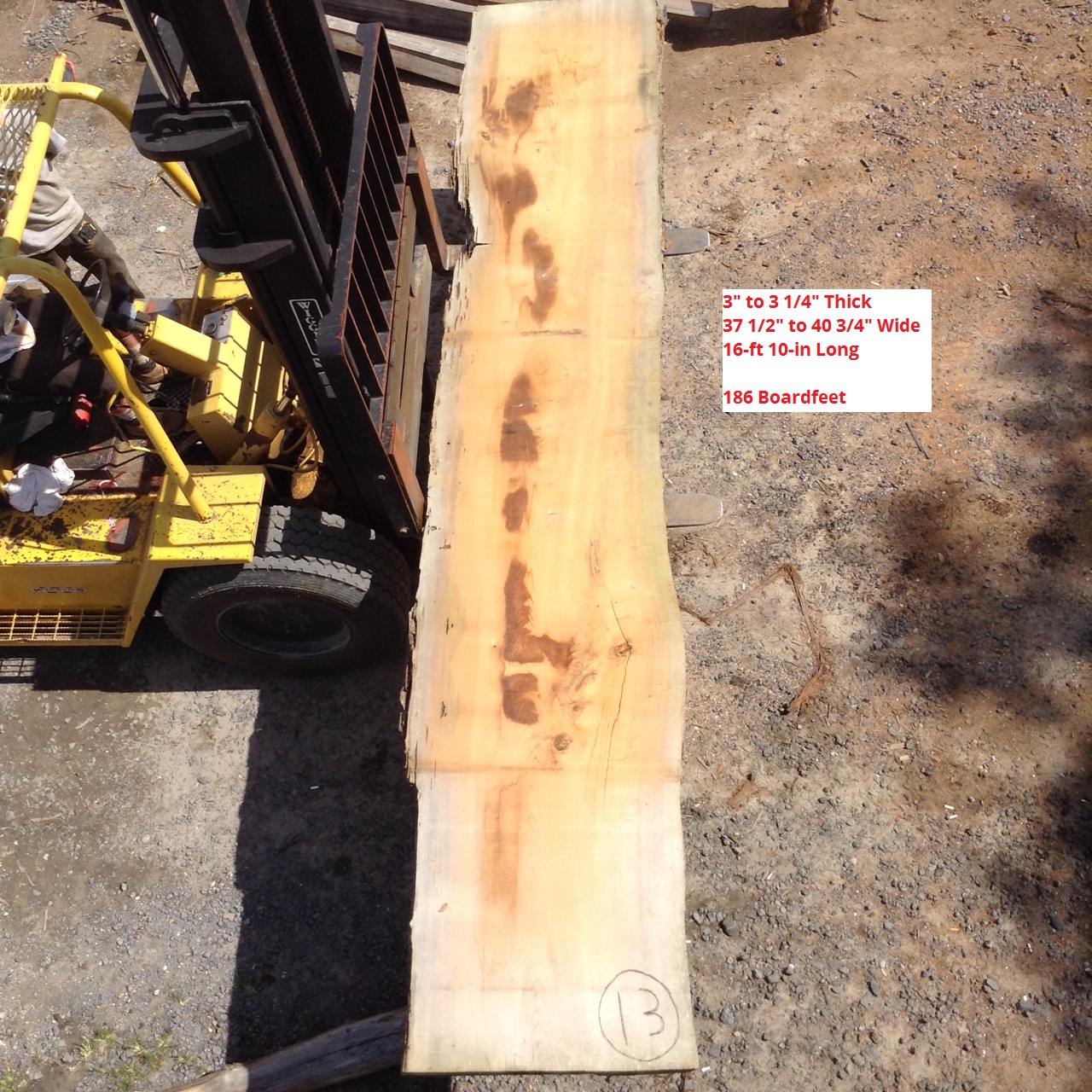 Old Growth Pecky Cypress Slab 13 Florida Cypress Wood Products, Inc